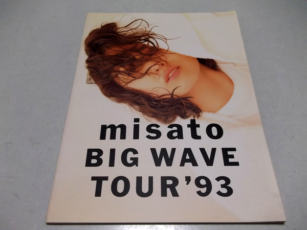 BIG WAVE TOUR '93